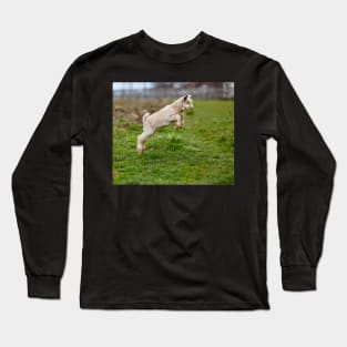 Baby goat jumping Long Sleeve T-Shirt